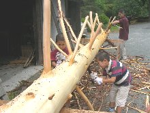 檜丸太皮剥き子どもたち