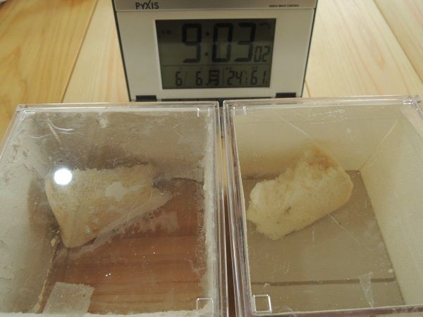 珪藻土とビニールクロス、4日後